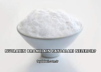 Nutraxin Bromelain Faydaları Nelerdir?