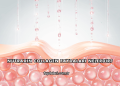 Nutraxin Collagen Faydaları Nelerdir?