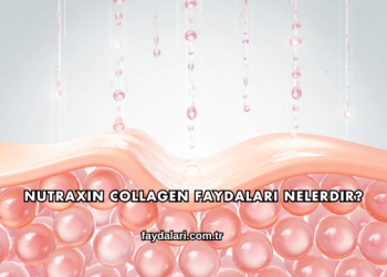 Nutraxin Collagen Faydaları Nelerdir?