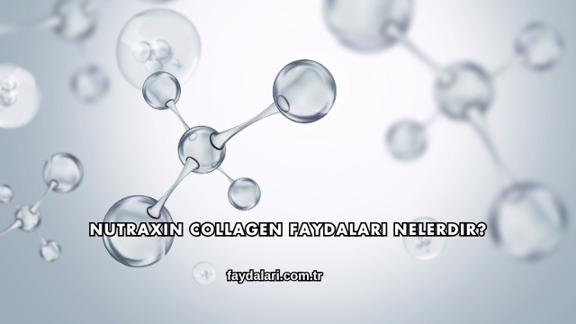 Nutraxin Collagen Faydaları Nelerdir?