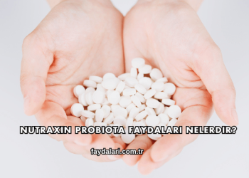 Nutraxin Probiota Faydaları Nelerdir?