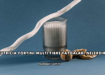 Nutricia Fortini Multi Fibre Faydaları Nelerdir?