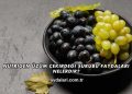 Nutrigen Üzüm Çekirdeği Şurubu Faydaları Nelerdir?