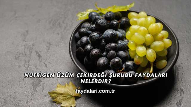 Nutrigen Üzüm Çekirdeği Şurubu Faydaları Nelerdir?