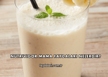 Nutrivigor Mama Faydaları Nelerdir?