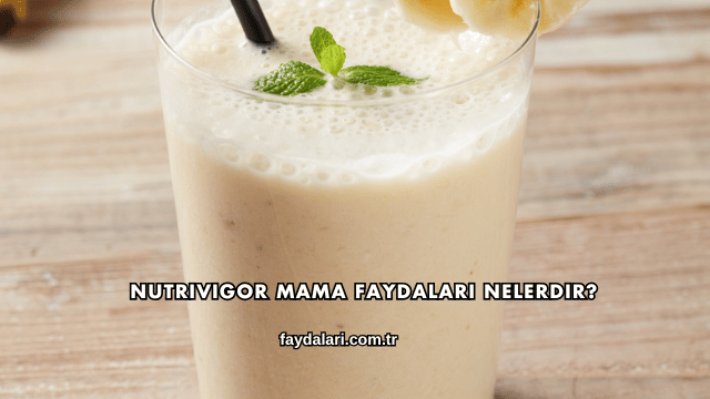 Nutrivigor Mama Faydaları Nelerdir?
