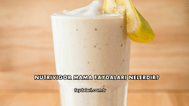 Nutrivigor Mama Faydaları Nelerdir?
