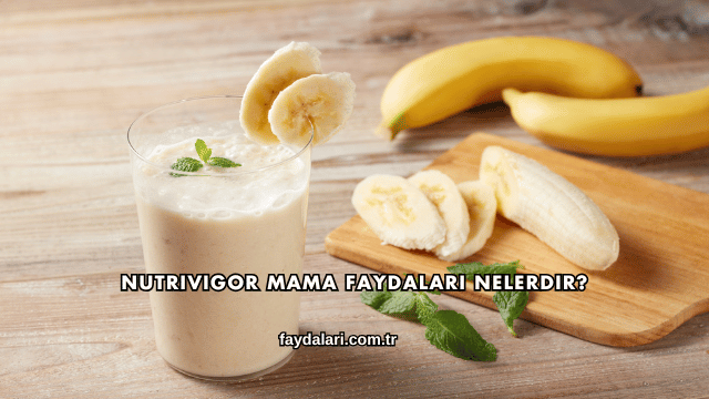 Nutrivigor Mama Faydaları Nelerdir?