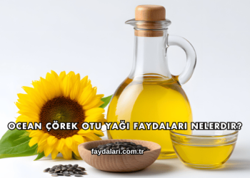 Ocean Çörek Otu Yağı Faydaları Nelerdir?