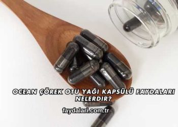 Ocean Çörek Otu Yağı Kapsülü Faydaları Nelerdir