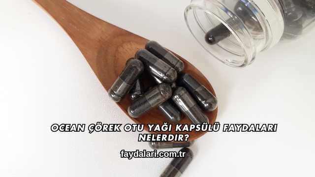 Ocean Çörek Otu Yağı Kapsülü Faydaları Nelerdir