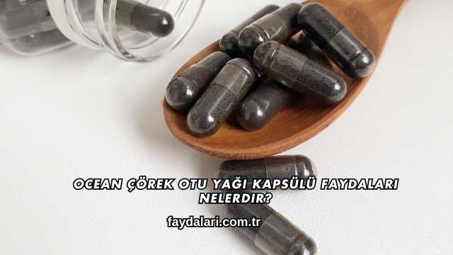 Ocean Çörek Otu Yağı Kapsülü Faydaları Nelerdir