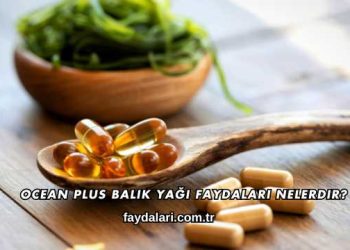 Ocean Plus Balık Yağı Faydaları Nelerdir?