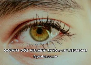 Ocuvite Göz Vitamini Faydaları Nelerdir?