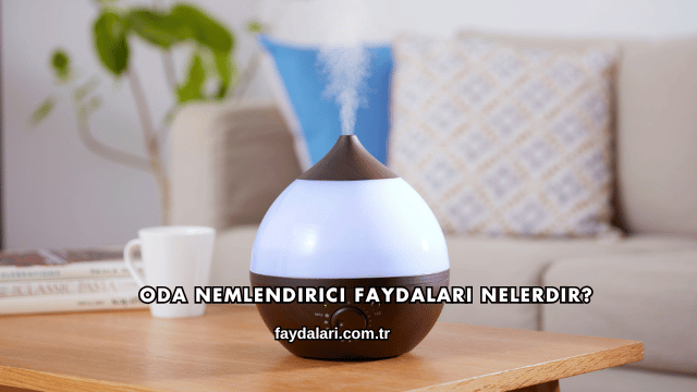 Oda Nemlendirici Faydaları Nelerdir?