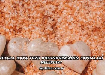 Odada Kaya Tuzu Bulundurmanın Faydaları Nelerdir?