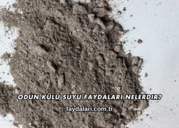 Odun Külü Suyu Faydaları Nelerdir?