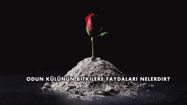 Odun Külünün Bitkilere Faydaları Nelerdir?