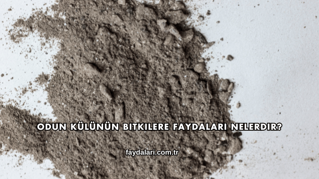Odun Külünün Bitkilere Faydaları Nelerdir?
