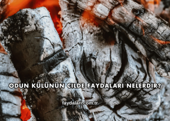 Odun Külünün Cilde Faydaları Nelerdir?