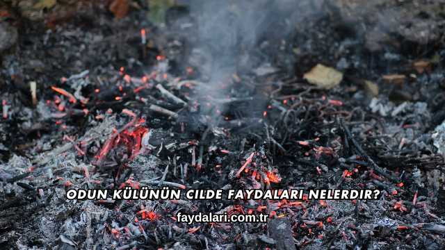 Odun Külünün Cilde Faydaları Nelerdir?