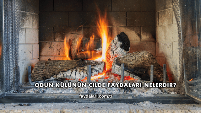Odun Külünün Cilde Faydaları Nelerdir?
