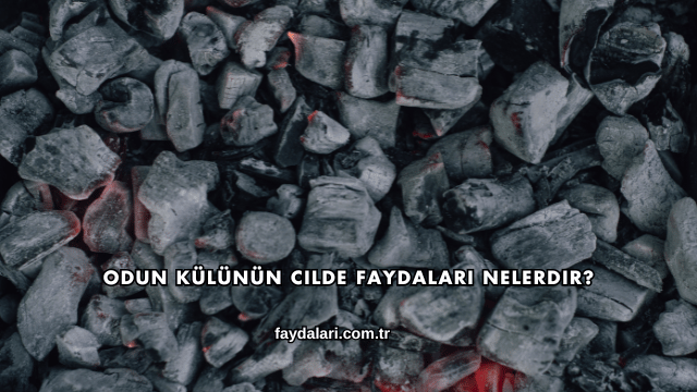 Odun Külünün Cilde Faydaları Nelerdir?