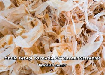 Odun Talaşı Toprağa Faydaları Nelerdir?