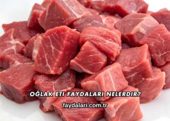 Oğlak Eti Faydaları Nelerdir?
