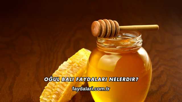 Oğul Balı Faydaları Nelerdir?