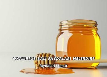 Okaliptus Balı Faydaları Nelerdir?
