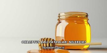 Okaliptus Balı Faydaları Nelerdir?