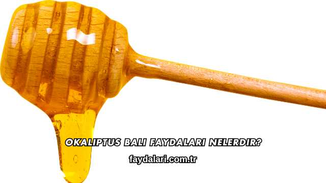 Okaliptus Balı Faydaları Nelerdir?