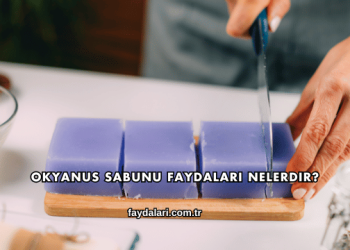 Okyanus Sabunu Faydaları Nelerdir?