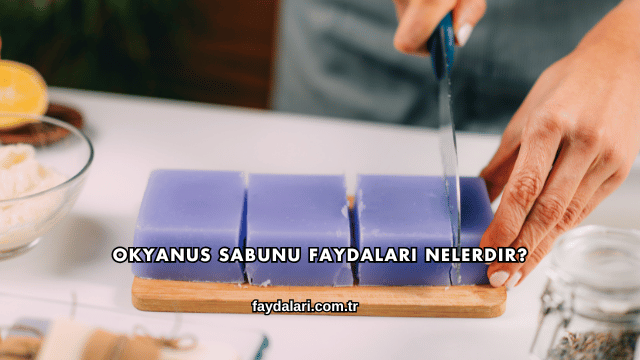 Okyanus Sabunu Faydaları Nelerdir?