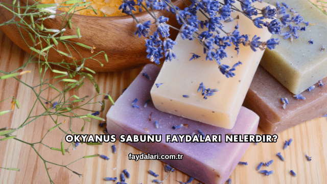 Okyanus Sabunu Faydaları Nelerdir?