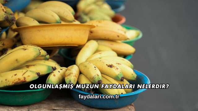 Olgunlaşmış Muzun Faydaları Nelerdir?