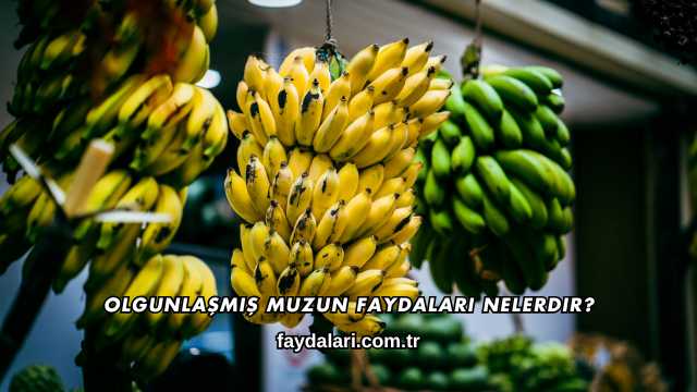 Olgunlaşmış Muzun Faydaları Nelerdir?