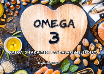 Omega 3 Takviyesi Faydaları Nelerdir?