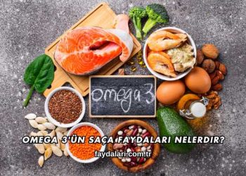 Omega 3'ün Saça Faydaları Nelerdir?