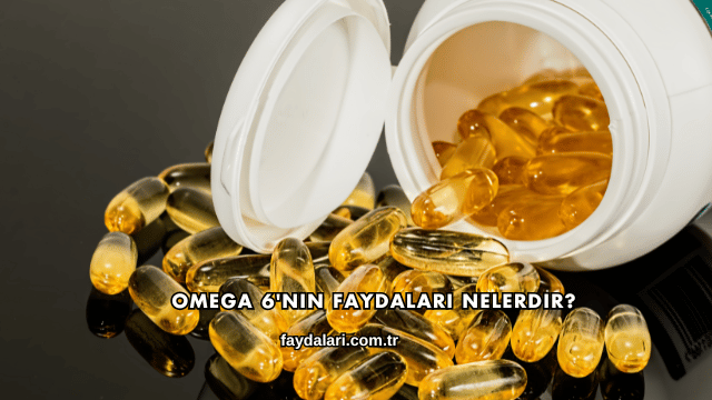 Omega 6'nın Faydaları Nelerdir?