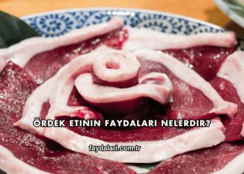 Ördek Etinin Faydaları Nelerdir?