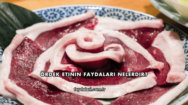 Ördek Etinin Faydaları Nelerdir?