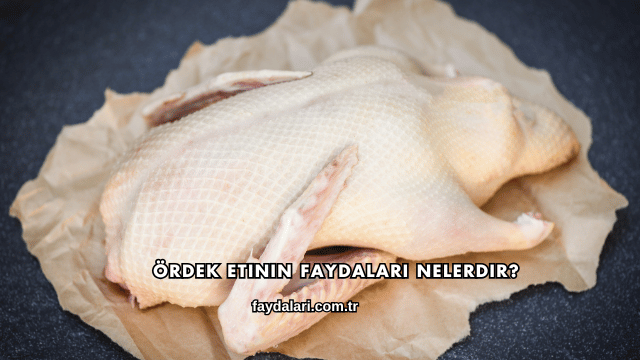 Ördek Etinin Faydaları Nelerdir?