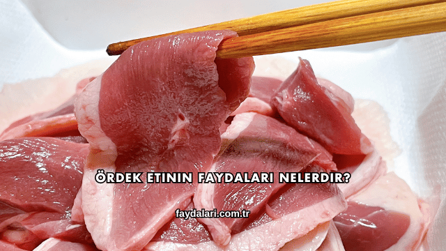Ördek Etinin Faydaları Nelerdir?