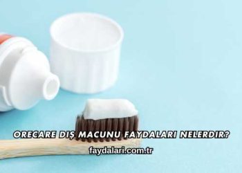 Orecare Diş Macunu Faydaları Nelerdir?