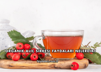 Organik Alıç Sirkesi Faydaları Nelerdir?