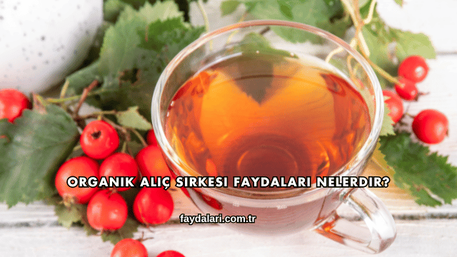 Organik Alıç Sirkesi Faydaları Nelerdir?