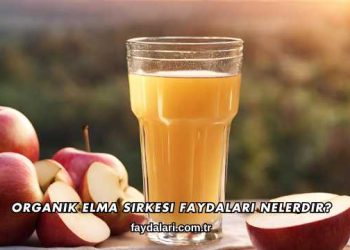 Organik Elma Sirkesi Faydaları Nelerdir?