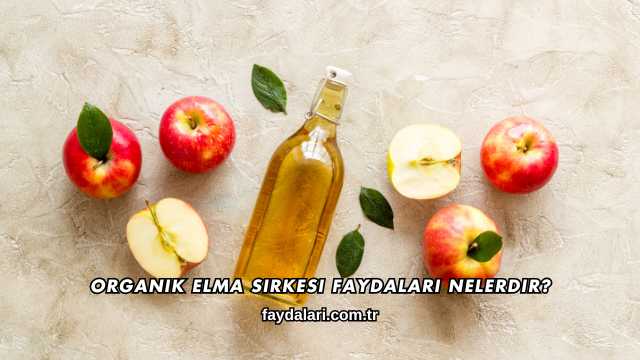 Organik Elma Sirkesi Faydaları Nelerdir?